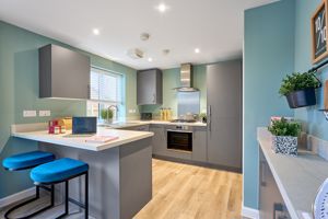 Photo 11- click for photo gallery